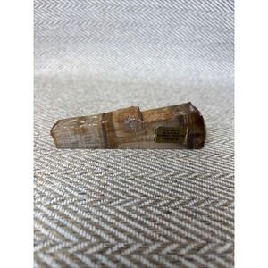 Vintage Petrified Spruce Wood Specimen Fossil Ginkgo Forest